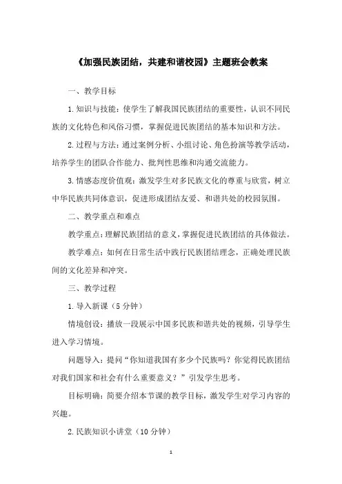 《加强民族团结,共建和谐校园》主题班会教案
