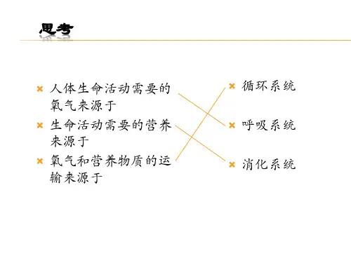 循环系统课件PPT课件