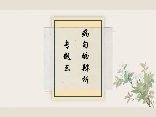 专题三  病句的辨析