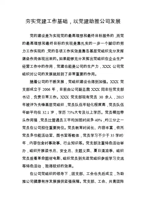夯实党建工作基础,以党建助推公司发展