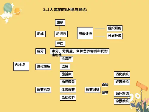 高中生物必修三知识框架图
