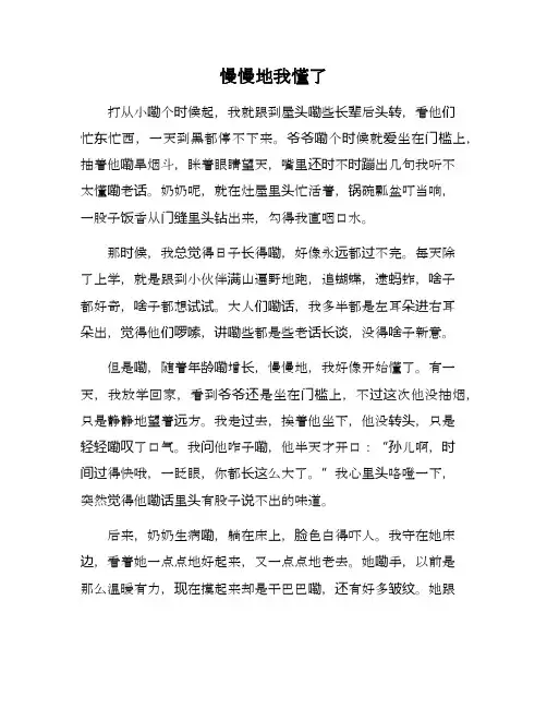 慢慢地我懂了800字作文