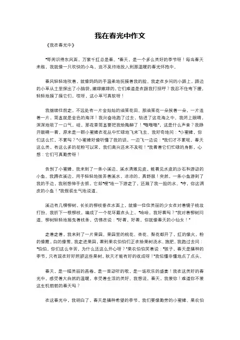 我在春光中作文