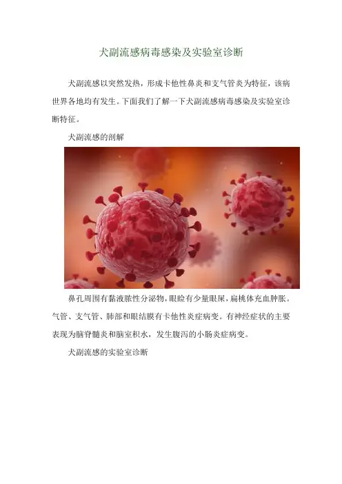 犬副流感病毒感染及实验室诊断