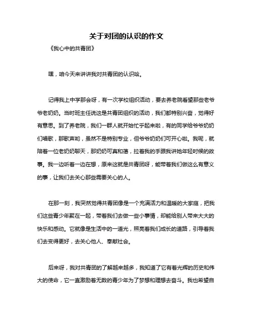 关于对团的认识的作文