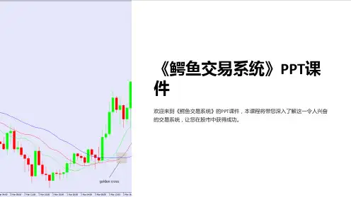 《鳄鱼交易系统》课件
