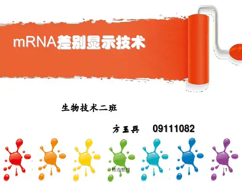 (汇总)mRNA差别显示技术.ppt