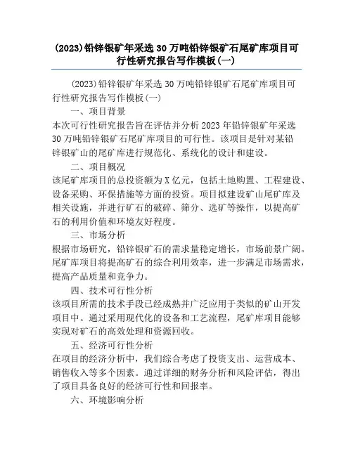 (2023)铅锌银矿年采选30万吨铅锌银矿石尾矿库项目可行性研究报告写作模板(一)