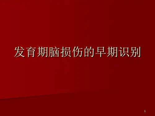 发育期脑损伤的早期识别PPT课件
