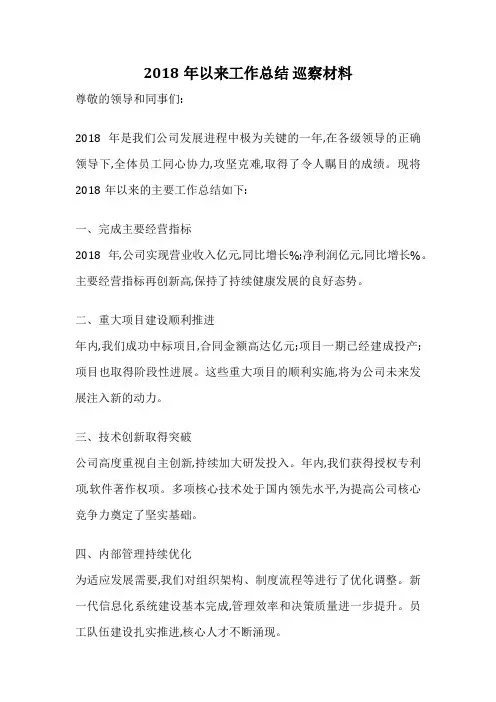 2018年以来工作总结 巡察材料