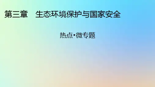 高中地理热点微专题3生态环境保护与国家安全湘教版选择性必修3