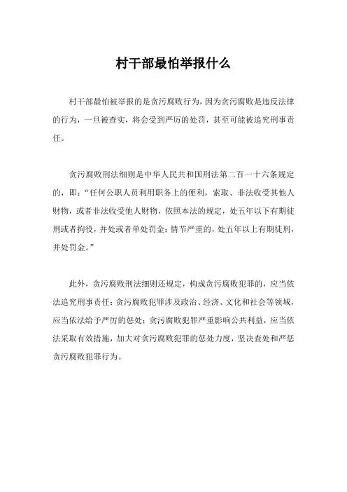 村干部最怕举报什么