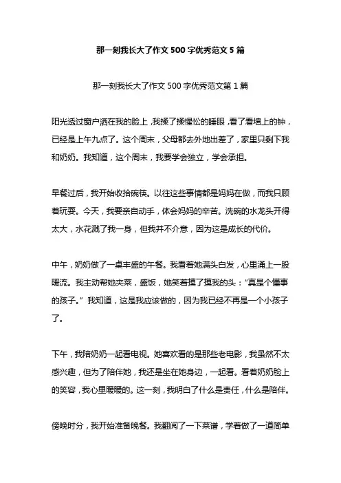 那一刻我长大了作文500字优秀范文5篇