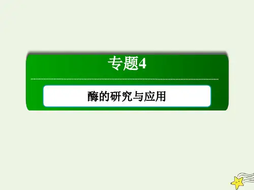 2021学年高中生物专题4酶的研究与应用专题整合与评估课件人教版选修1