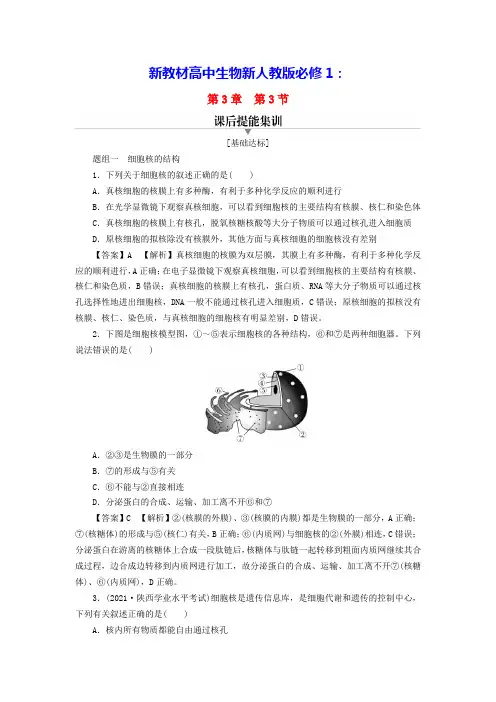 新教材高中生物第3章第3节细胞核的结构和功能课后提能集训新人教版必修1(含答案)