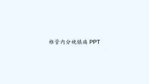 椎管内分娩镇痛 PPT