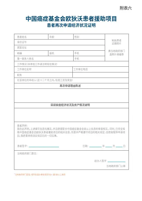 再次申请-再次申请经济状况证明-(文件24)