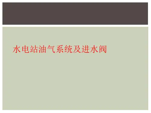 水电站油气系统及进水阀