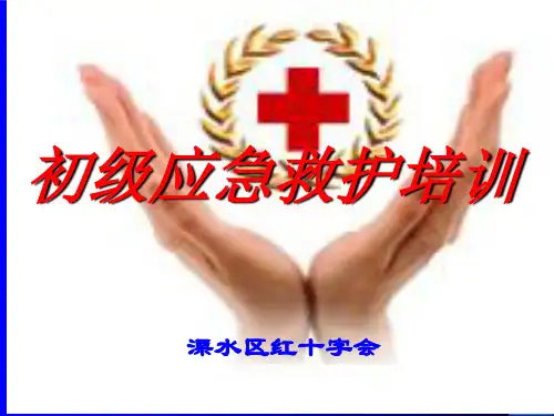 红十字会初级救护员培训心肺复苏讲稿PPT