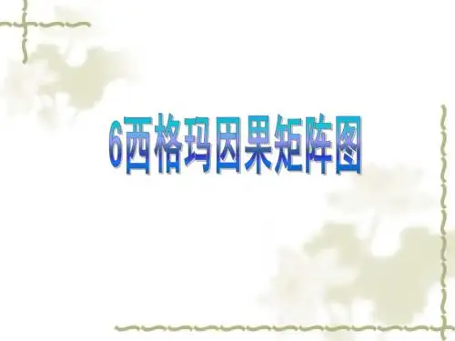 6西格玛因果矩阵