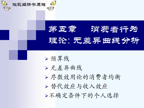 经济学无差异曲线分析.ppt