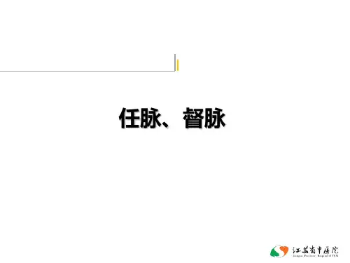 任脉督脉PPT课件