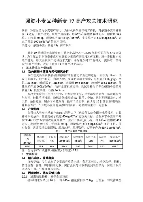强筋小麦品种新麦19高产攻关技术研究1