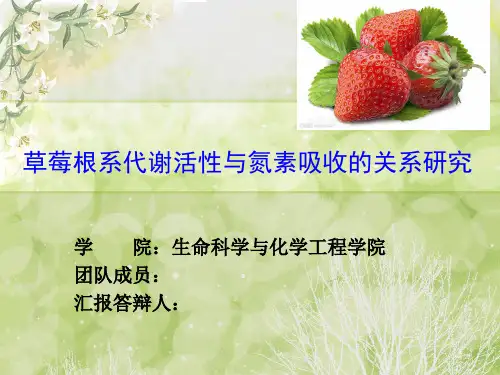 大学生科技创新计划项目答辩
