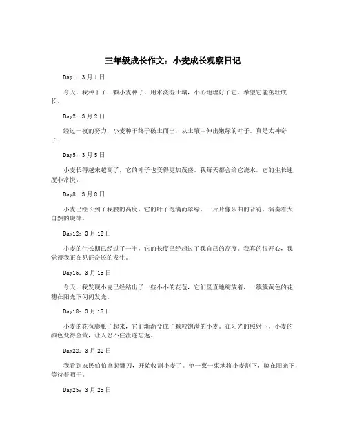 三年级成长作文：小麦成长观察日记