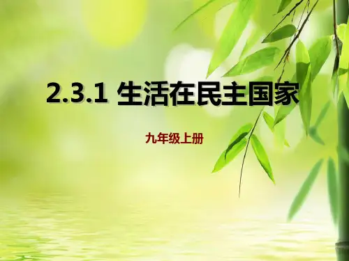 《生活在民主国家》追求民主价值课件