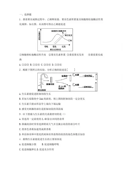 新人教版高中生物必修三植物的激素调节