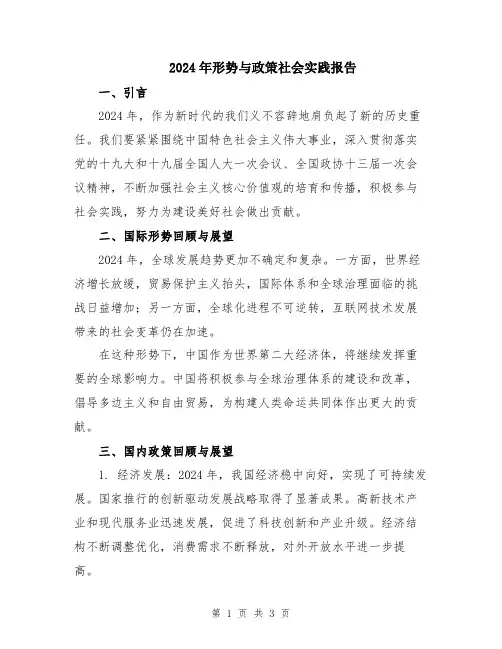 2024年形势与政策社会实践报告