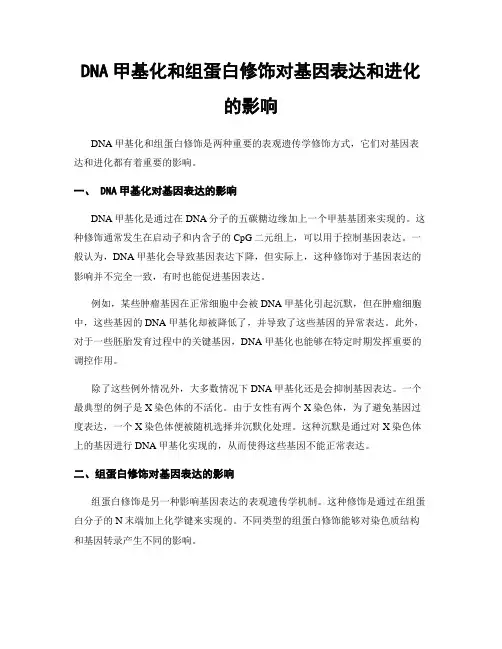DNA甲基化和组蛋白修饰对基因表达和进化的影响