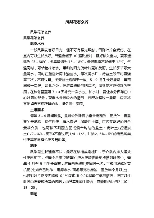 凤梨花怎么养