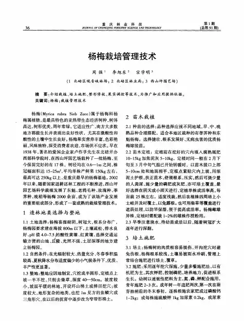 杨梅栽培管理技术