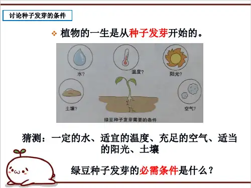 种子发芽实验一2