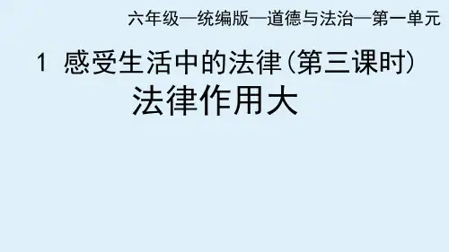 人教部编版道德与法治六年级上册1《感受生活中的法律》第3课时《法律作用大》课件
