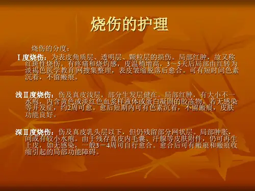 烧伤的护理【PPT课件】