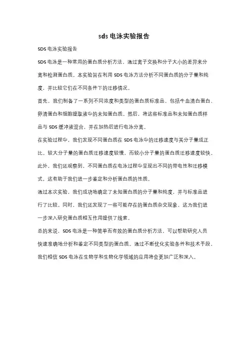 sds电泳实验报告