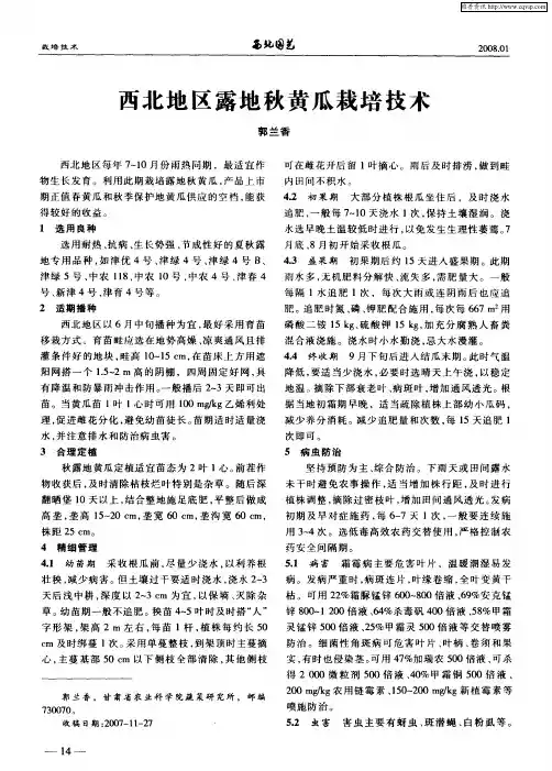 西北地区露地秋黄瓜栽培技术