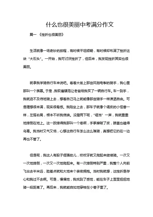 什么也很美丽中考满分作文