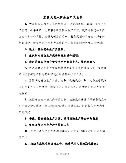 主要负责人安全生产责任制(五篇)