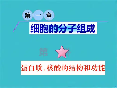 第1章 第1讲 蛋白质、核酸的结构和功能(共42张PPT)