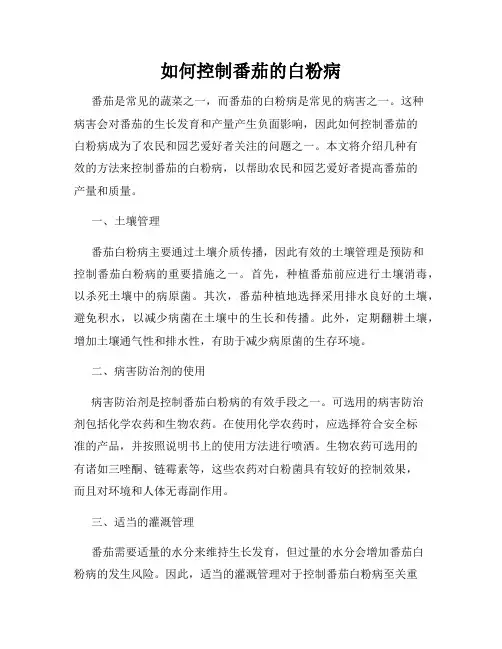如何控制番茄的白粉病