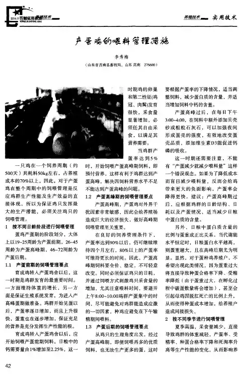 产蛋鸡的喂料管理措施
