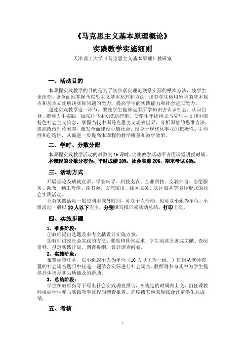 马克思主义基本原理概论实践方案