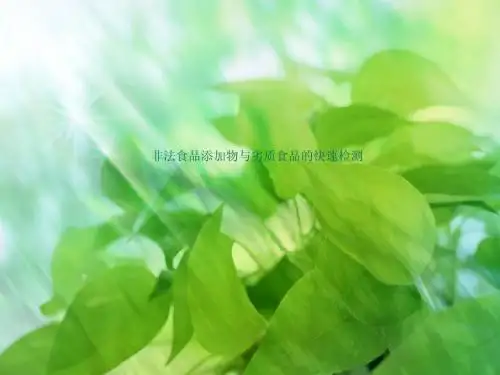 非法食品添加物与劣质食品的快速检测