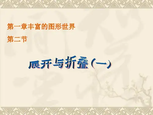 展开与折叠
