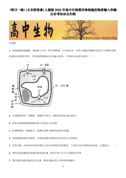 (文末附答案)人教版2022年高中生物第四章细胞的物质输入和输出必考知识点归纳