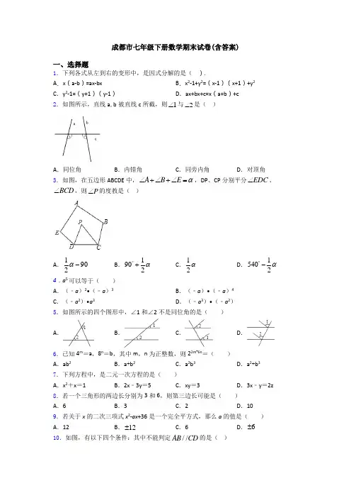 成都市七年级下册数学期末试卷(含答案)
